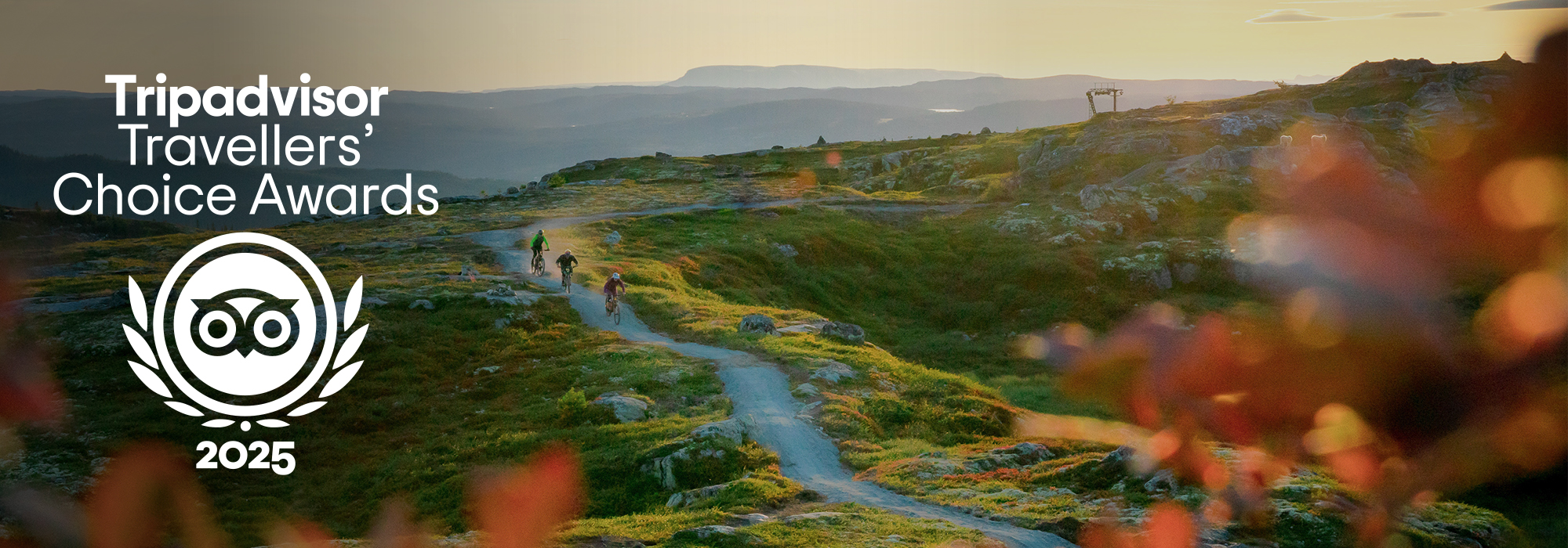 HallingSpranget TripAdvisor PC 2000x700