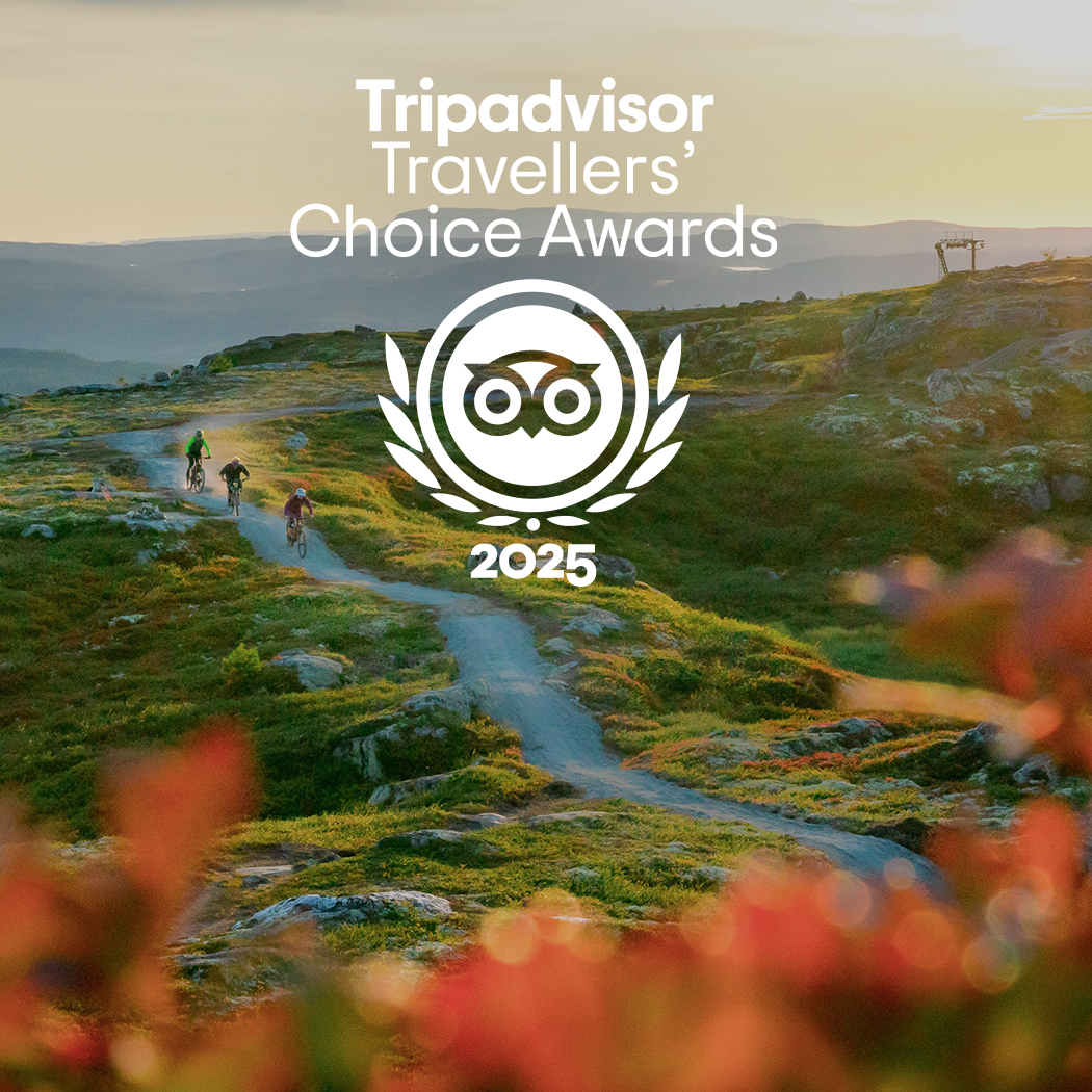 HallingSpranget TripAdvisor mobil 1050x1050